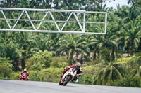 Sepang;event-digital-images;motorbikes;no-limits;peter-wileman-photography;trackday;trackday-digital-images